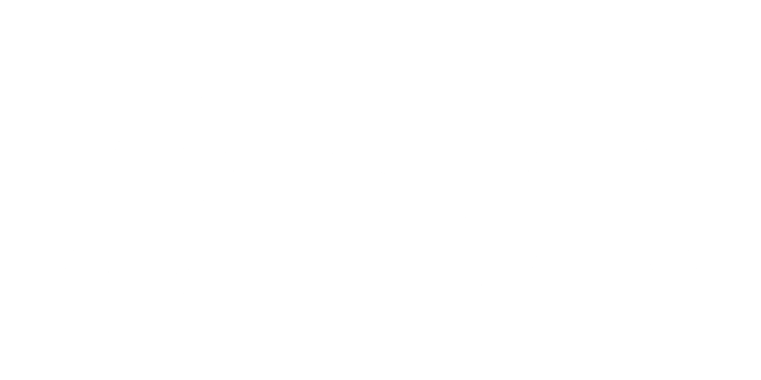 light logo